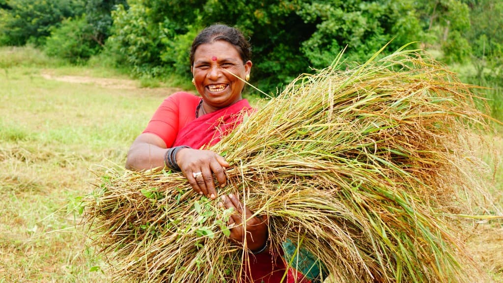 Dryland woman farmer with her harvest